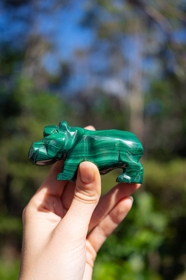 Malachite Hippopotamus